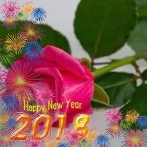 Meet your Posher, Velásquez